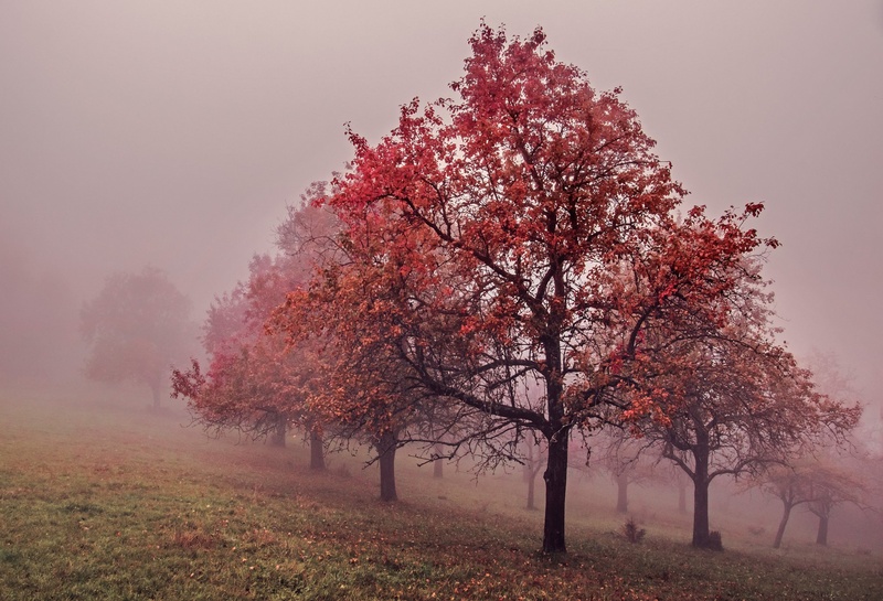 Novembrsko jutro by KaRa