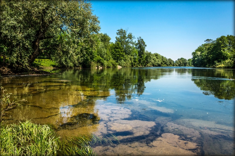 Kolpa vabi by marko