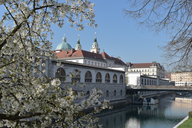 Ob Ljubljanici by Dora J.
