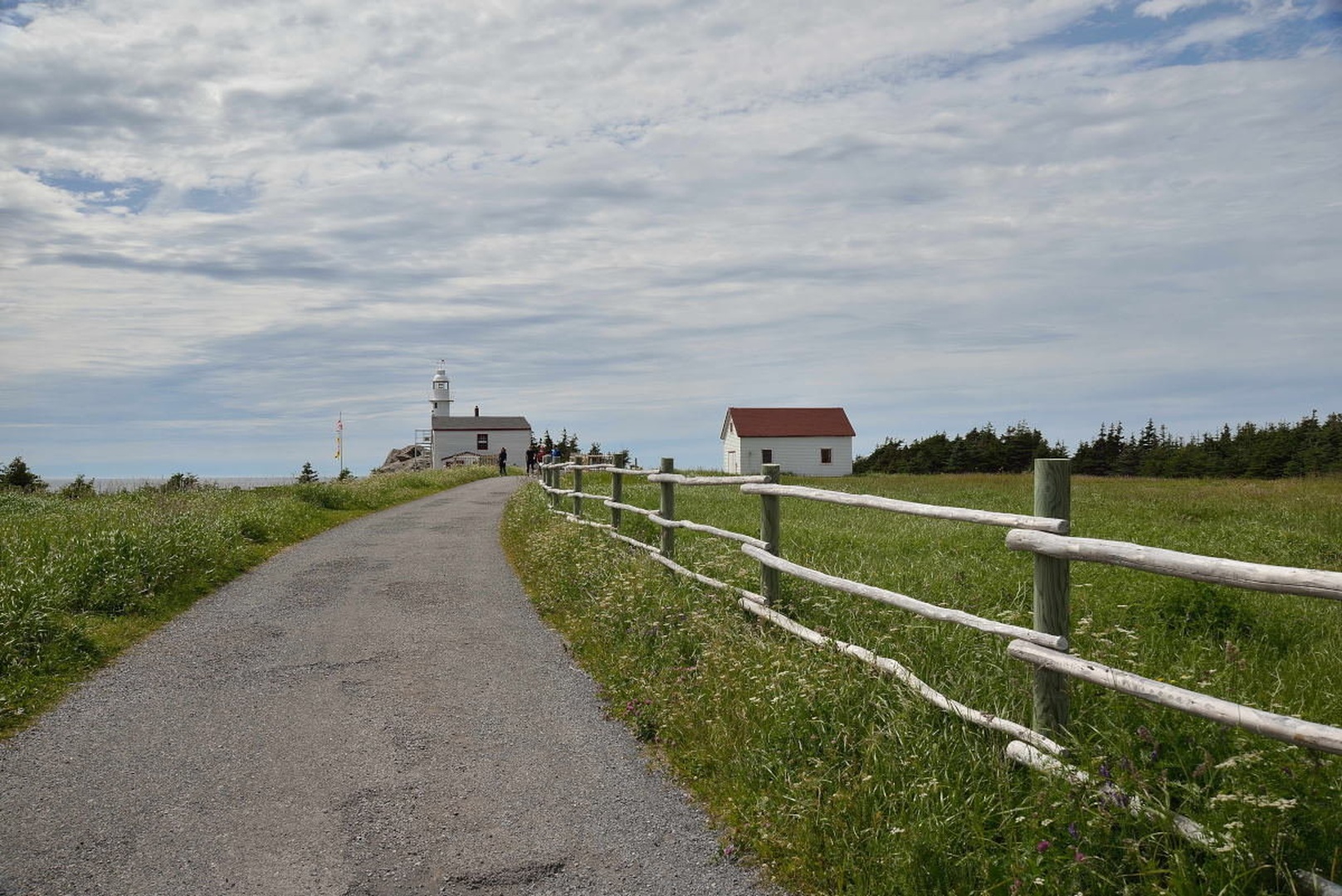 Lobster Cove, NL by Driolarena Arena