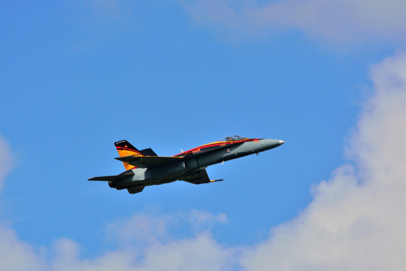 CF-18 Hornet; Air Show Brantford Ont. by Driolarena Arena