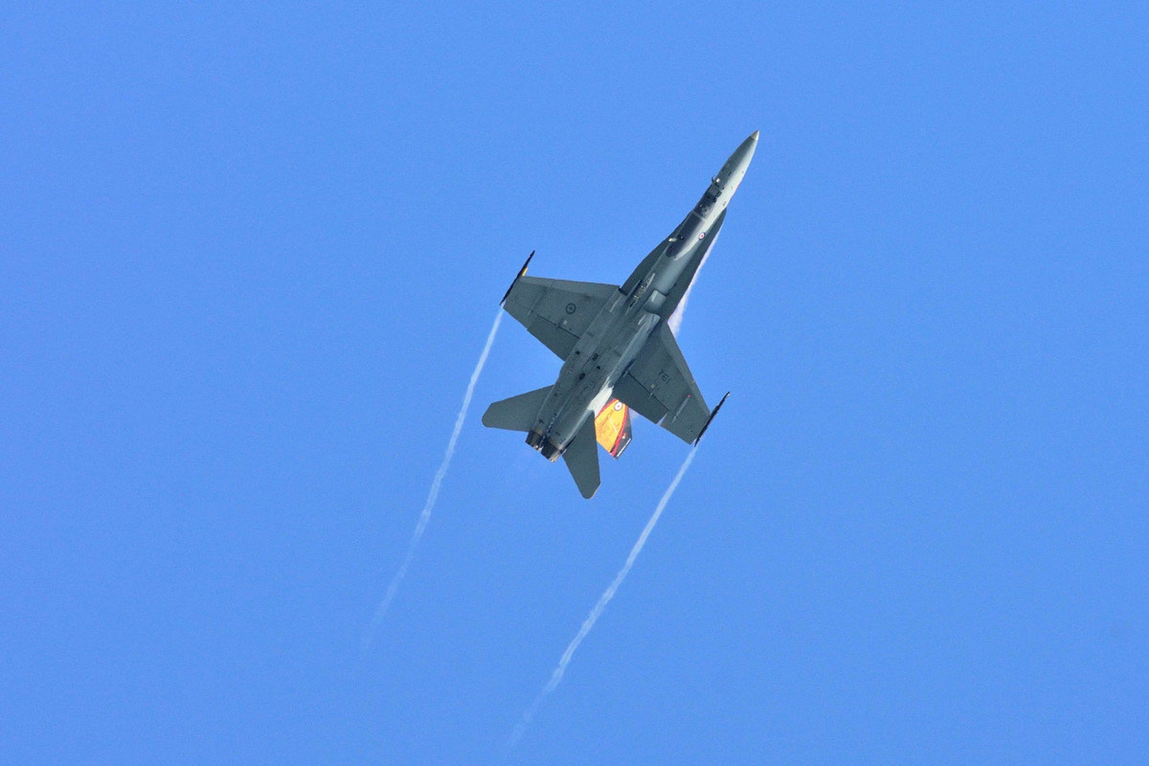 CF-18 Hornet by Driolarena Arena