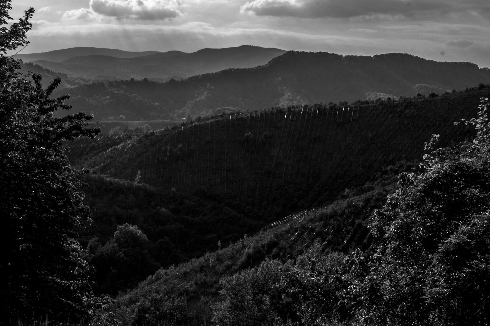 domači bregovi by Urban Šober