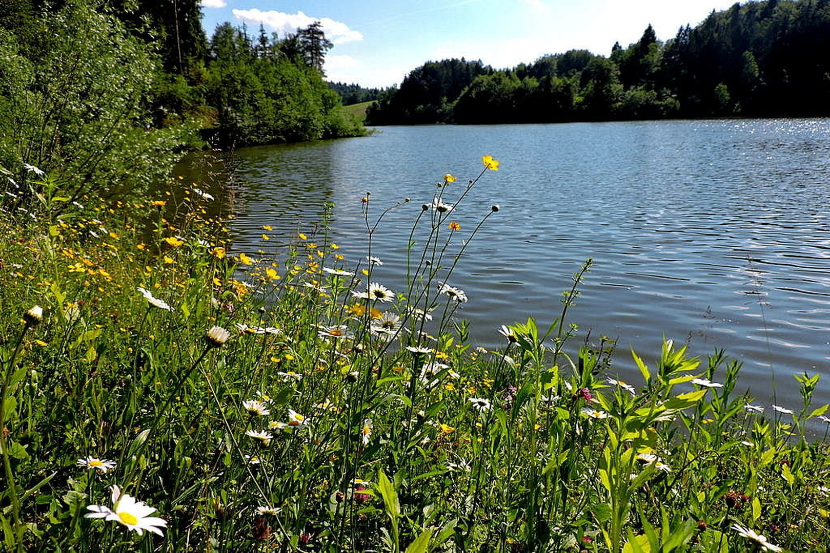 Gradiško jezero by Irena Zupanec