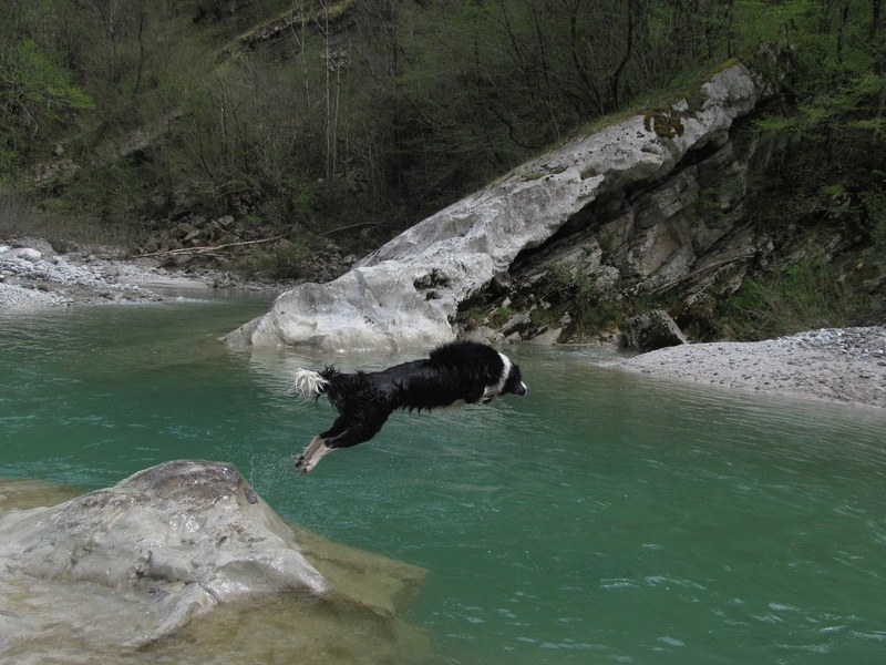 Skok v Nadižo by Parin photo