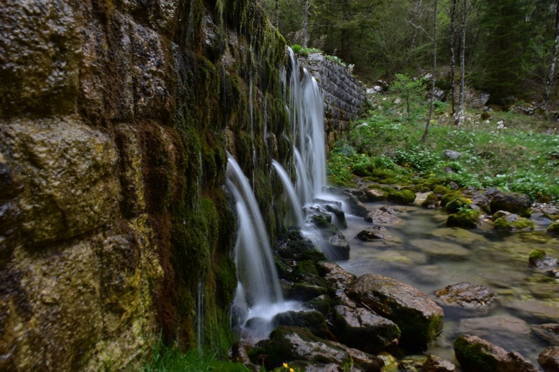 Špera by Parin photo