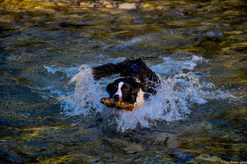 Pa je le našla palco by Parin photo