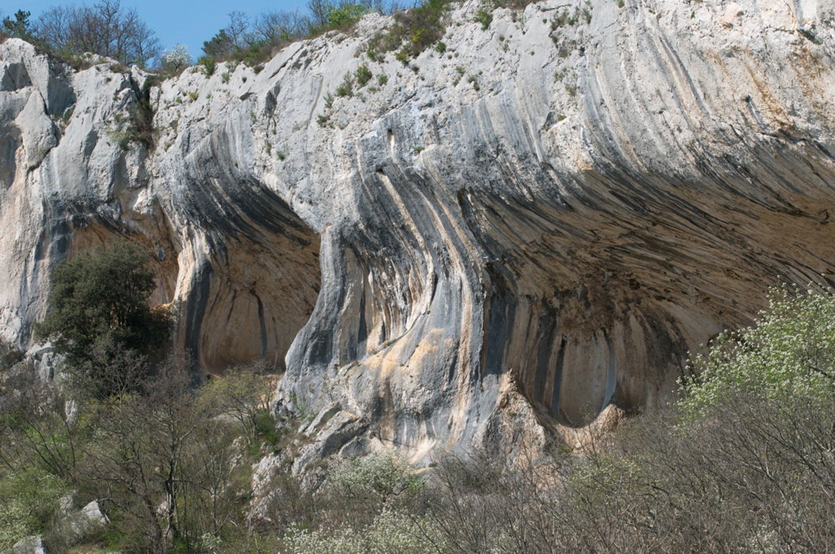 Veli Badin-spodmoli by Nevijo Kocjančič