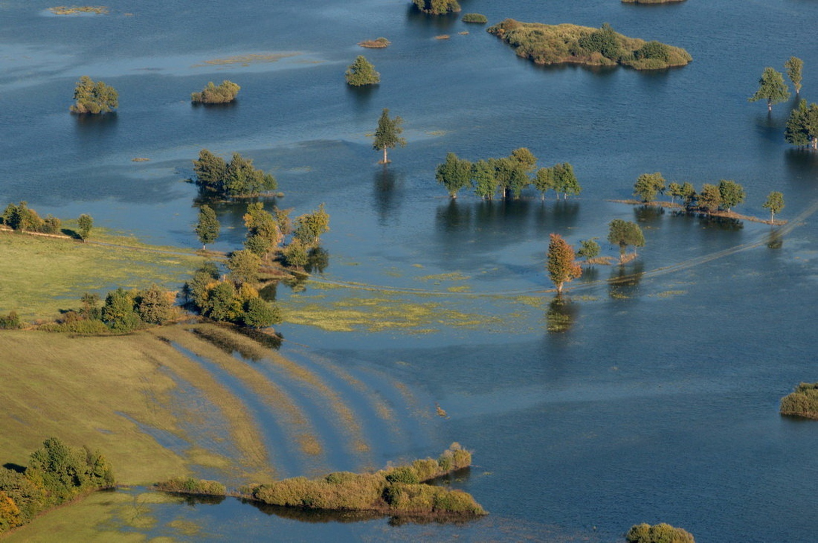 Planinsko polje by Nevijo Kocjančič