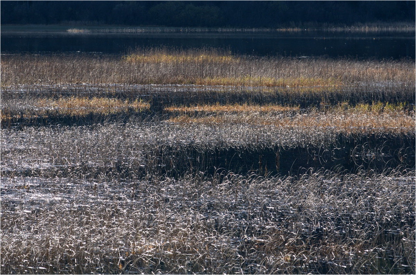 Cerkniško jezero by Nevijo Kocjančič