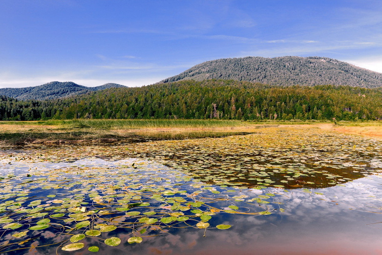 Cerkniško jezero by Nevijo Kocjančič