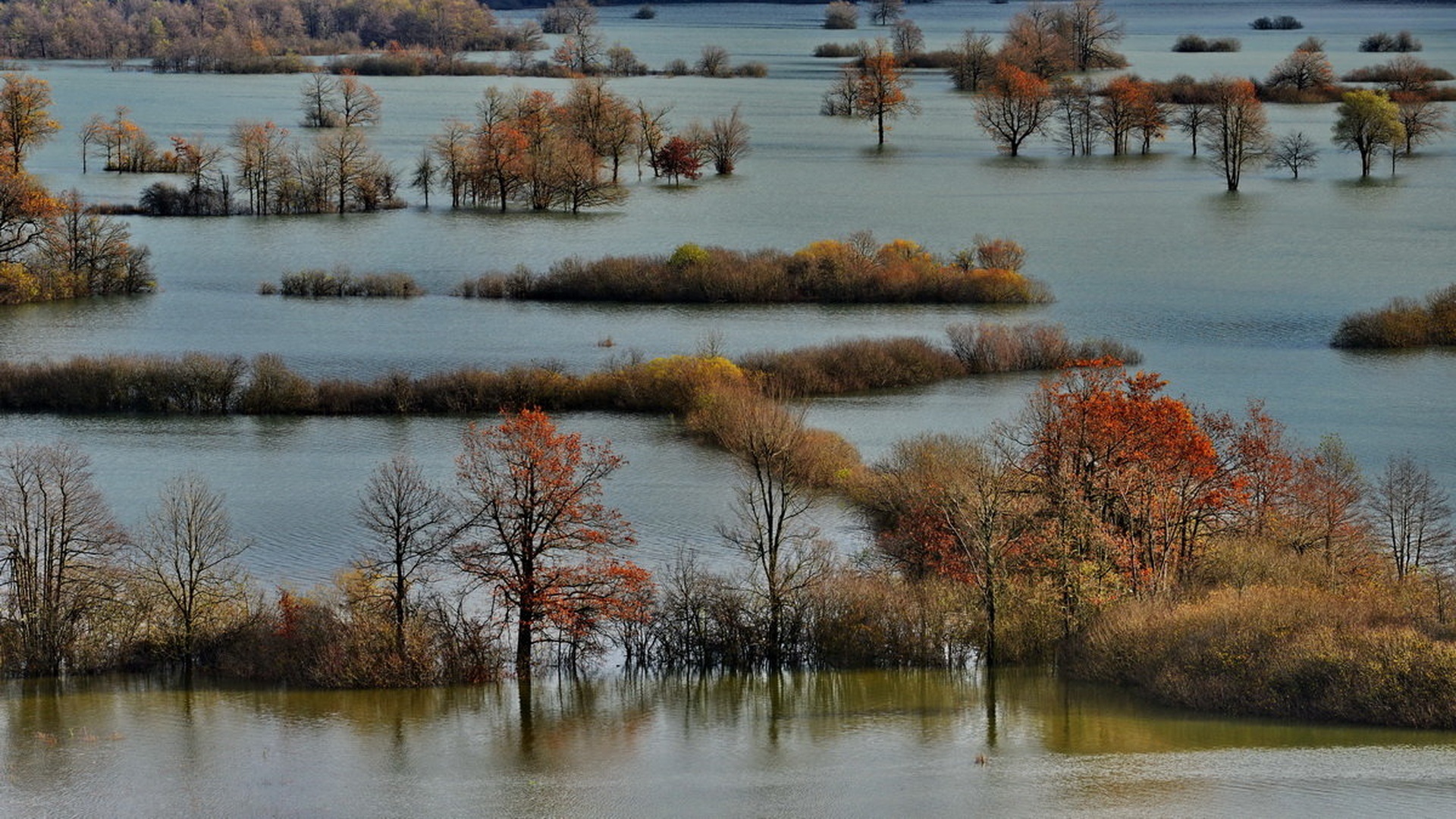 Planinsko polje by Nevijo Kocjančič