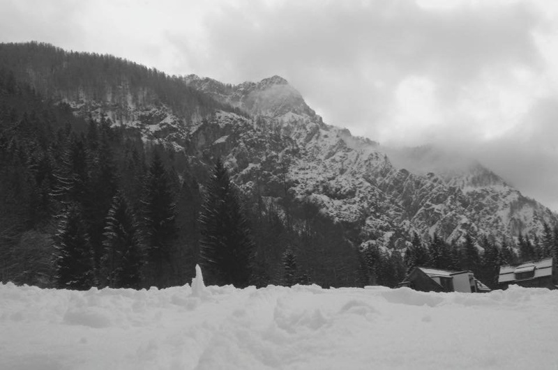 Planica by Zarad Kač