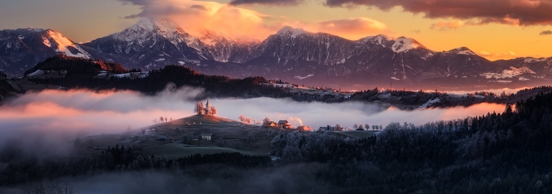 Morning Glory by Andraž Antonič