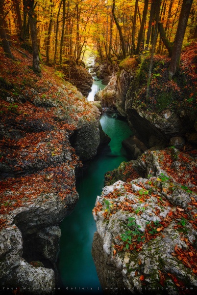 Fall light by Andraž Antonič