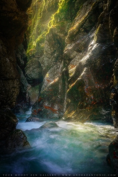 Magic Light by Andraž Antonič