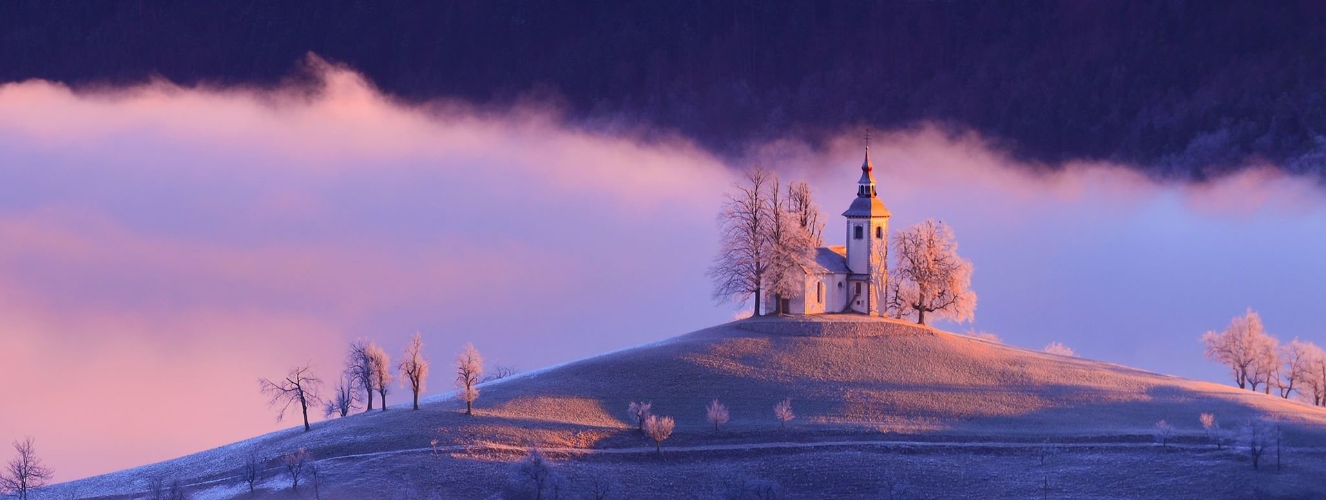 Purple morning by Andraž Antonič