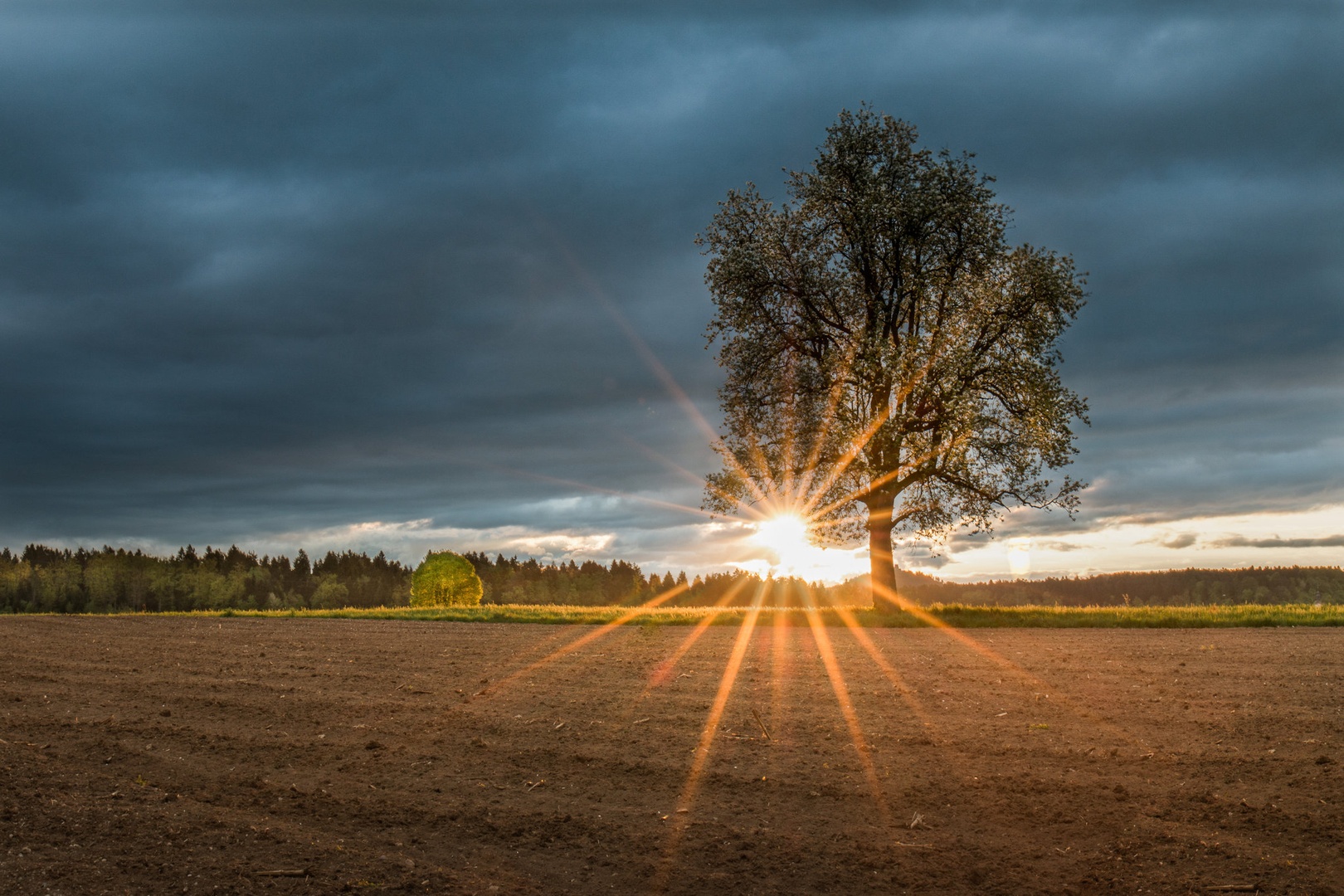 Jutro... by Simon Zver