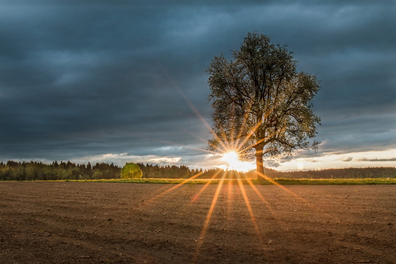 Jutro... by Simon Zver
