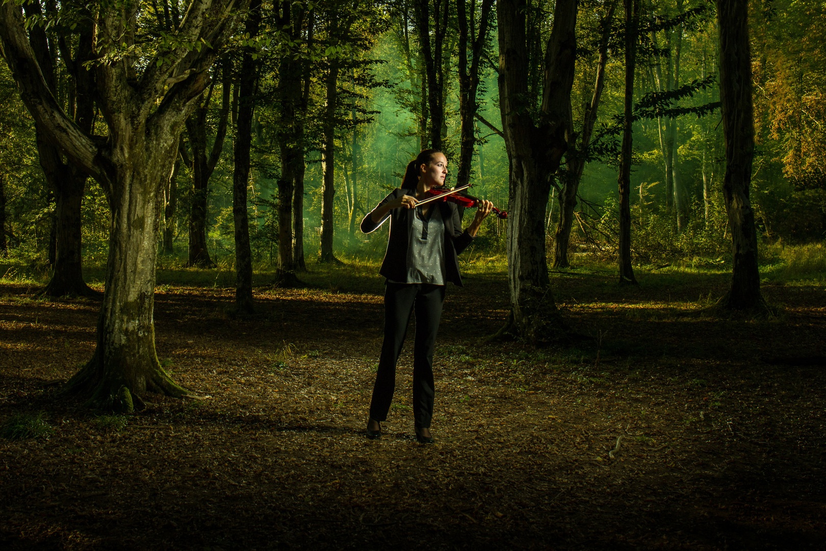 Forest rhapsody by Simon Zver