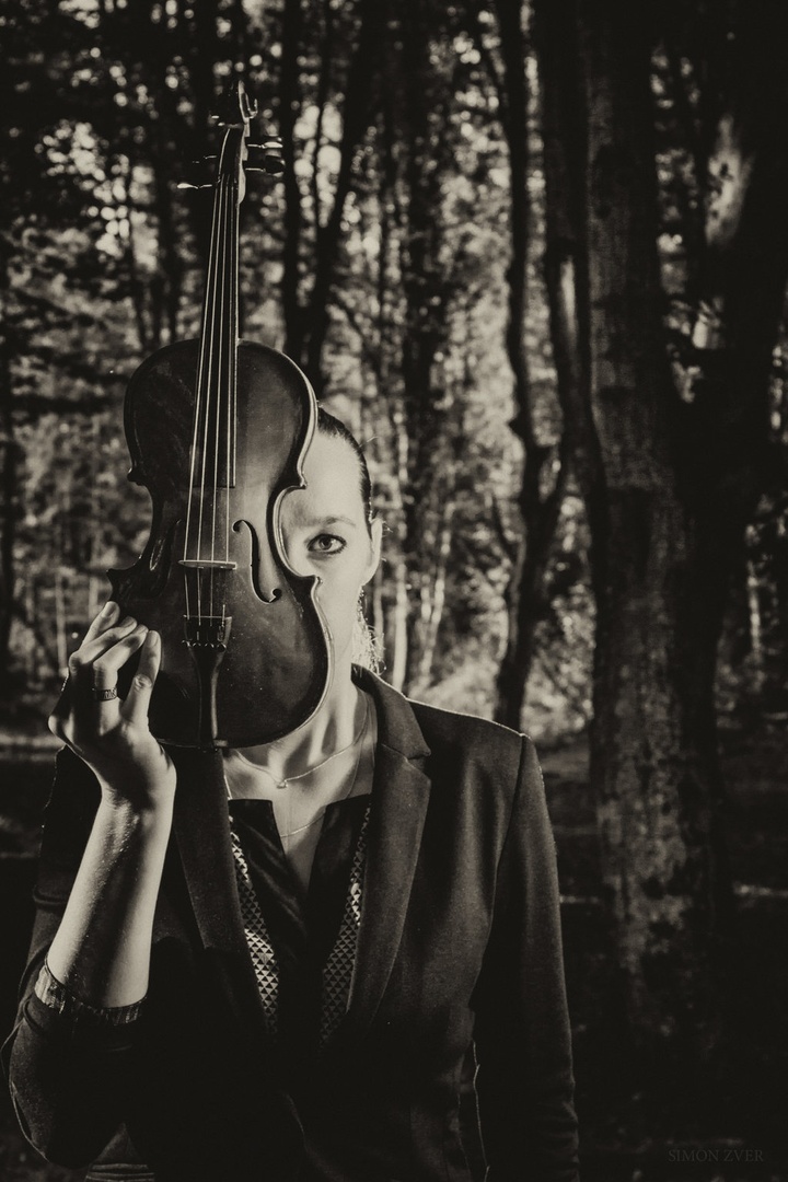 ... by Simon Zver