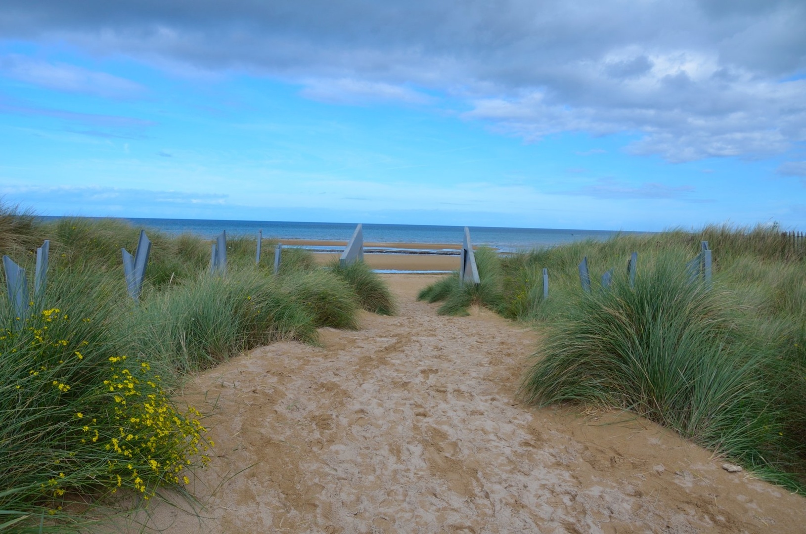 JUNO BEACH by Anton Novak