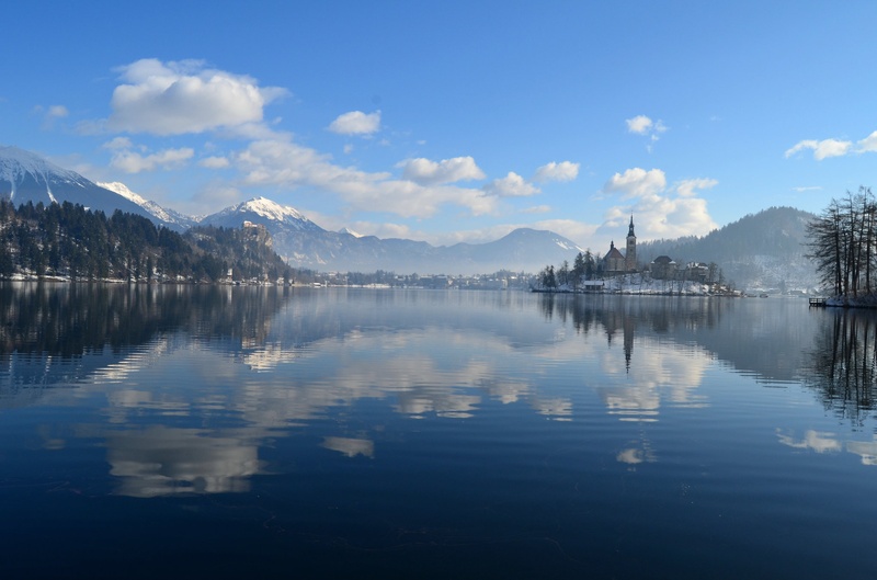 BLED by Anton Novak
