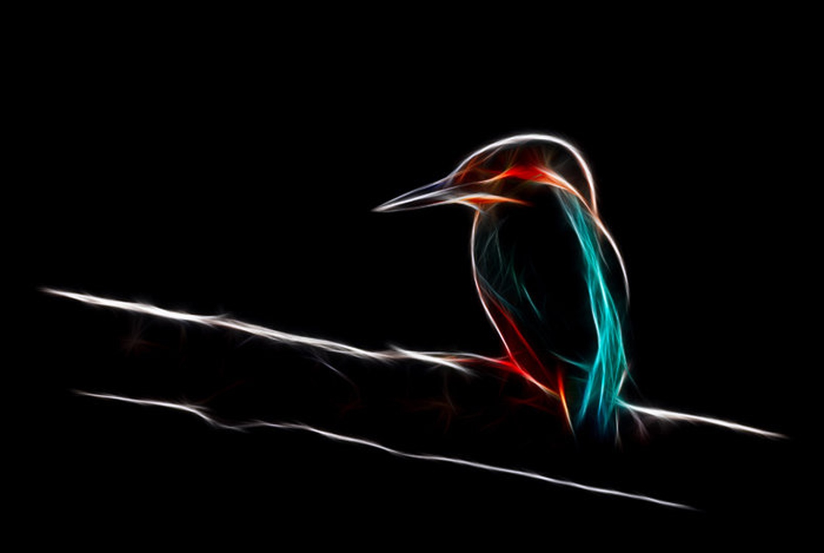 Digital KingfisheR by mihaaa