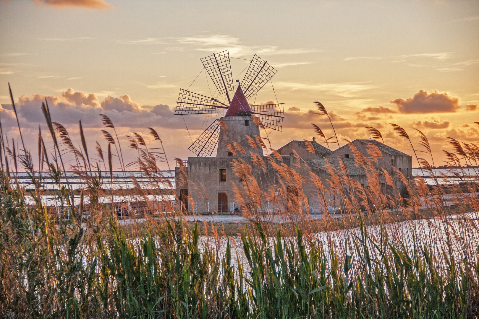 Soline by