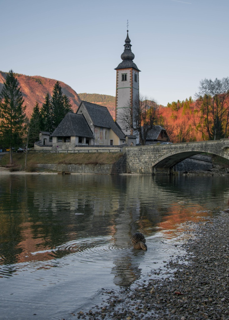 Bohinj by Doroteja Menhart