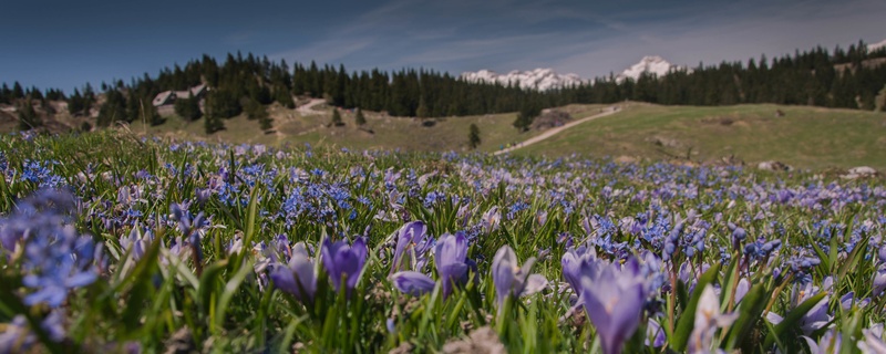 Velika planina by Doroteja Menhart