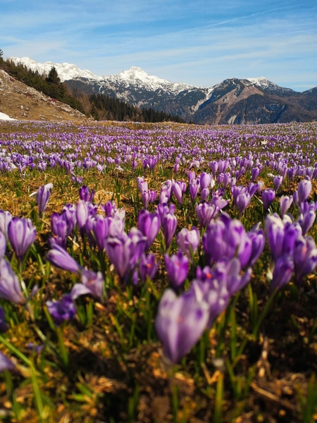 Velika planina by Doroteja Menhart