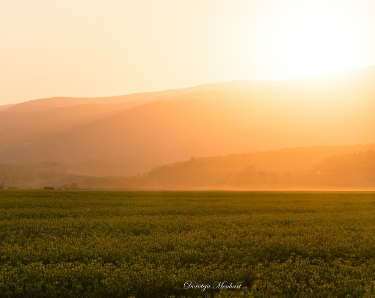 Večerno sonce by Doroteja Menhart