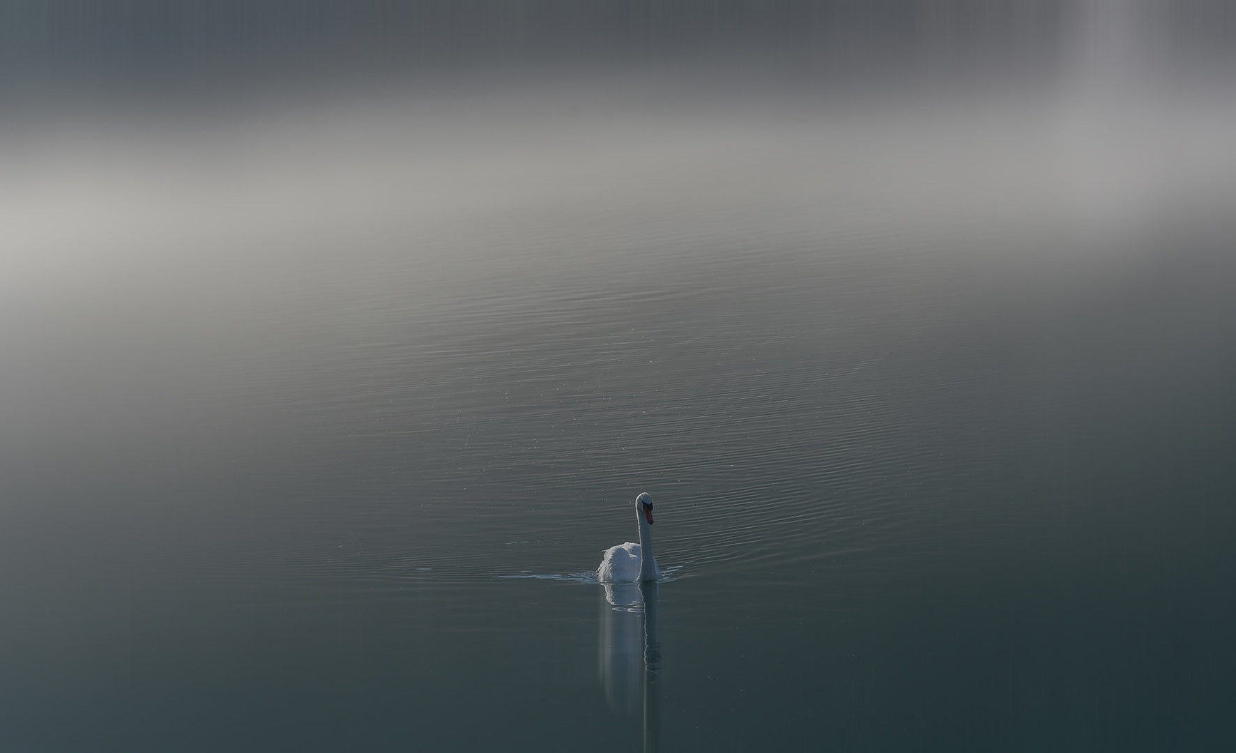 Labodje jezero by Vlado Sofronievski