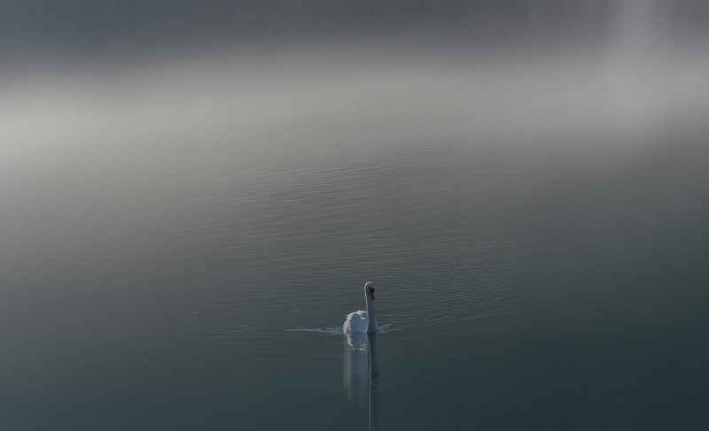 Labodje jezero by Vlado Sofronievski