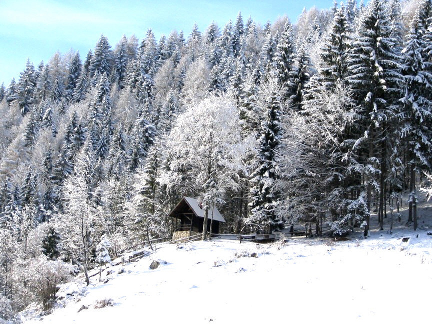 moj drugi dom by