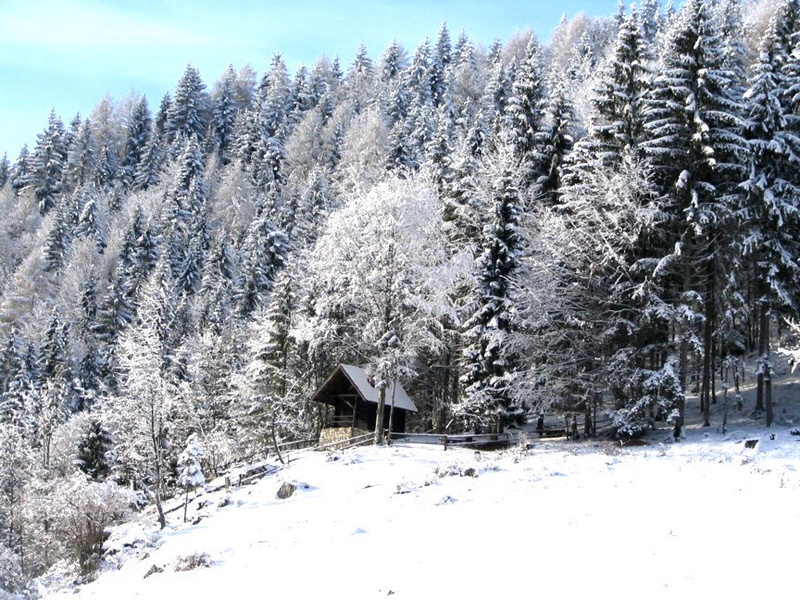 moj drugi dom by macigoj