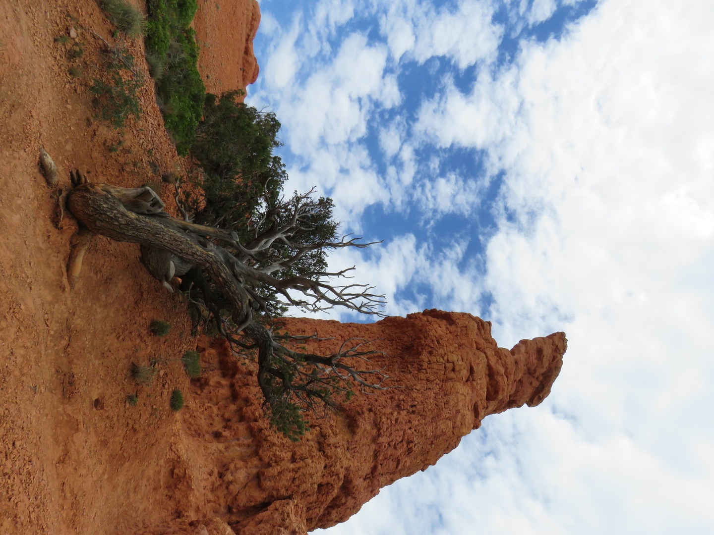Arizona by Matej Petelin