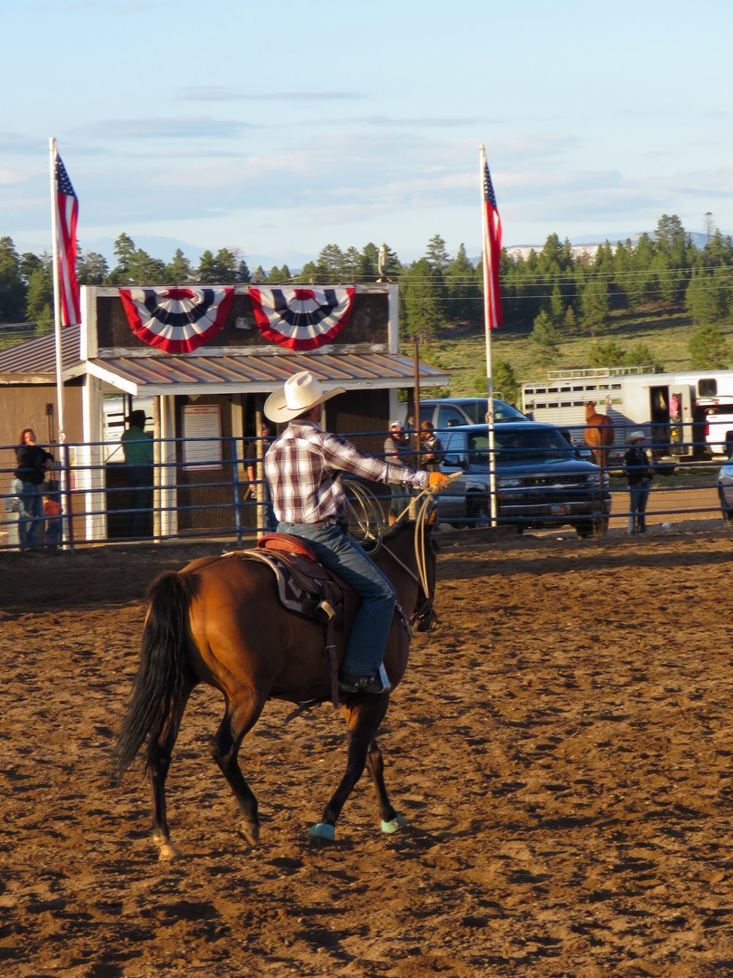 Rodeo by Matej Petelin