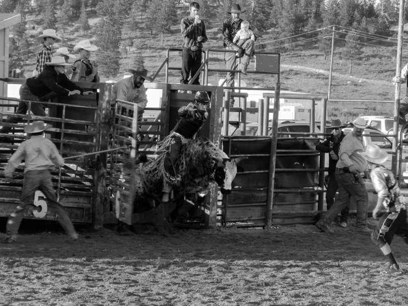 Rodeo by Matej Petelin