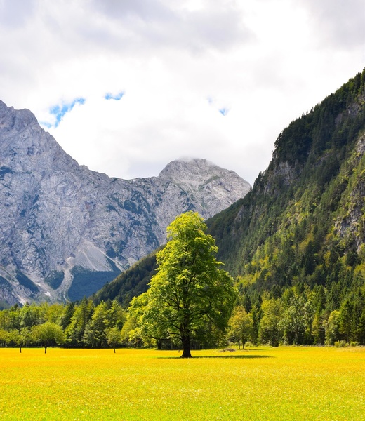 Logarska dolina by Matej Petelin