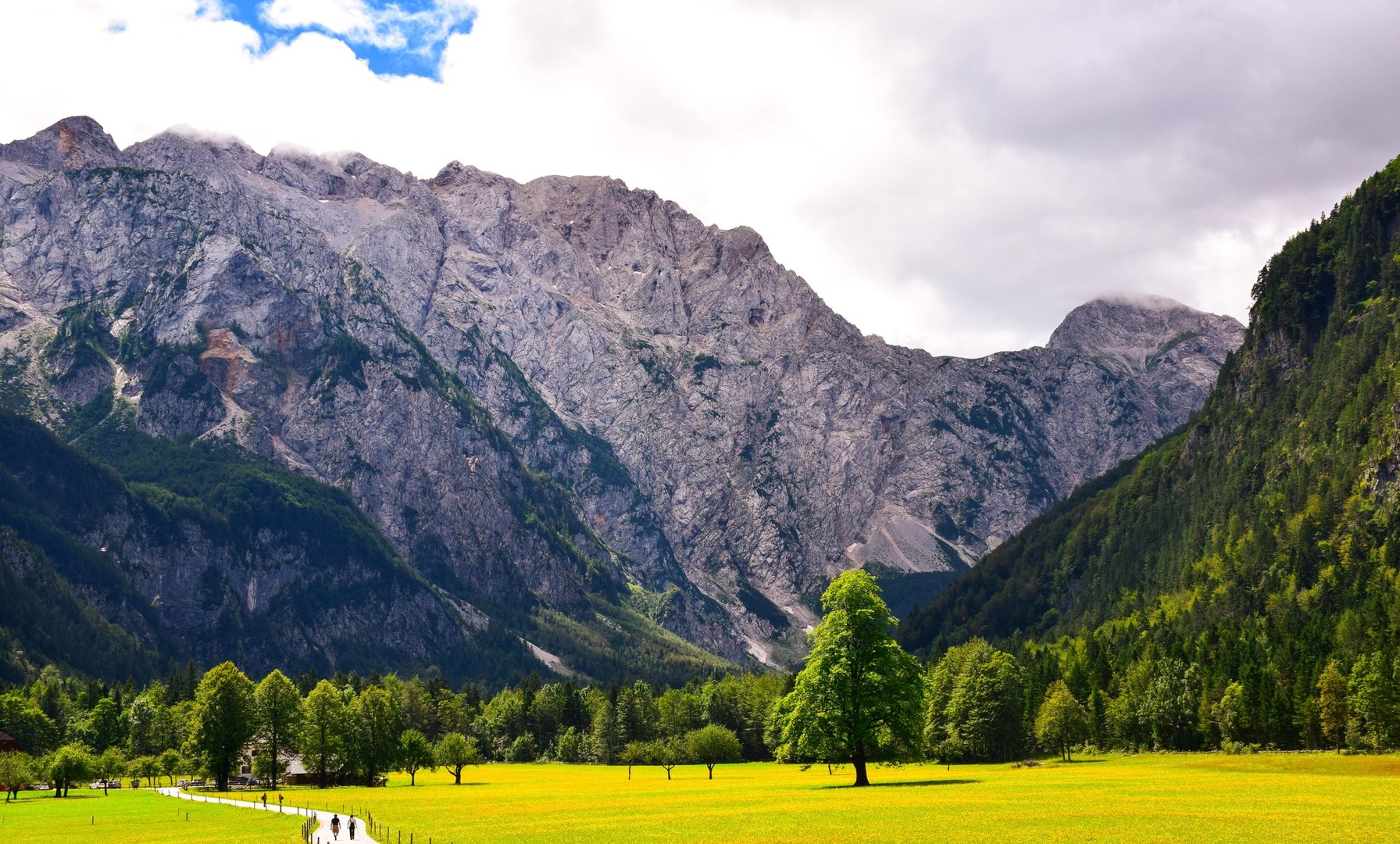 Logarska dolina by Matej Petelin