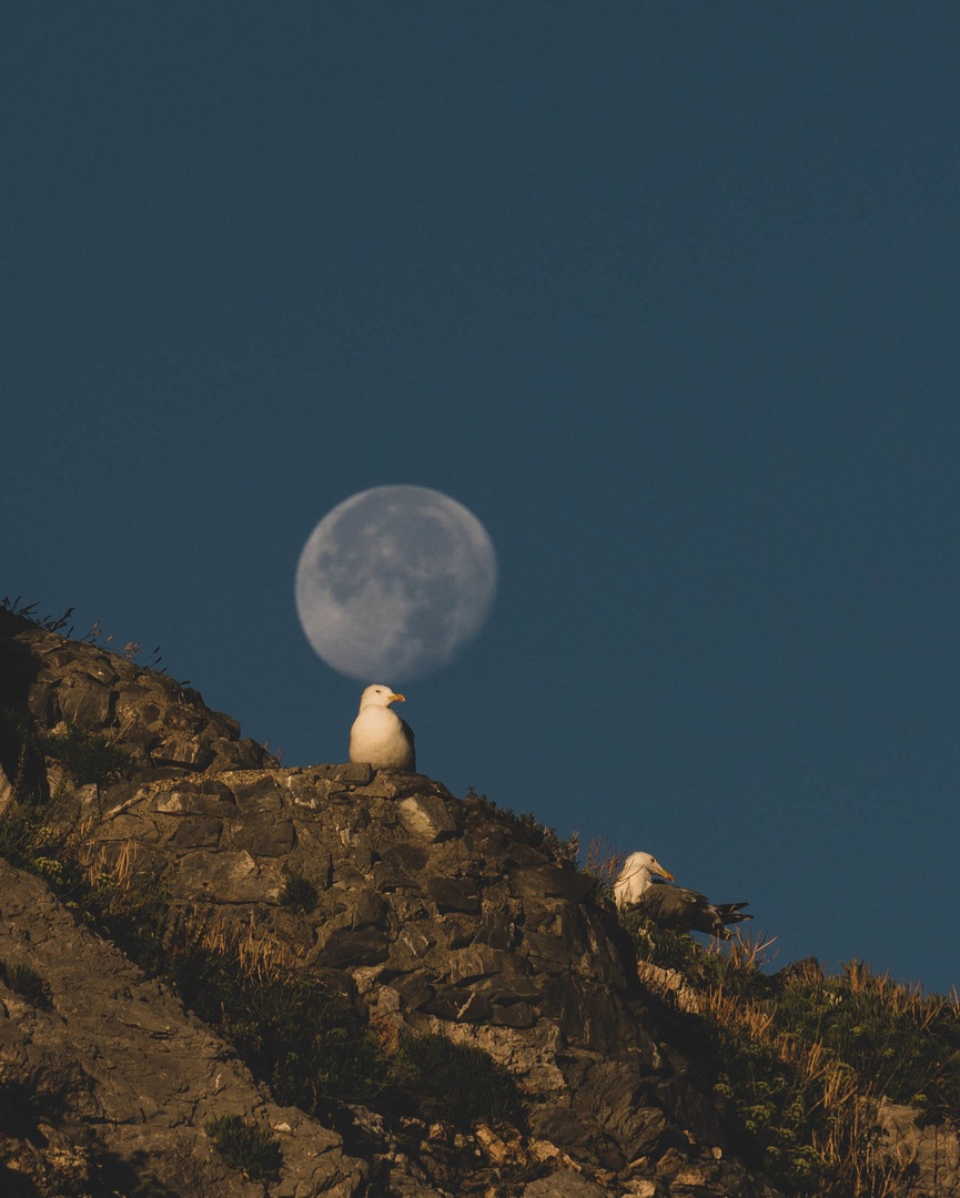 Holding the Moon by Ivan Benk