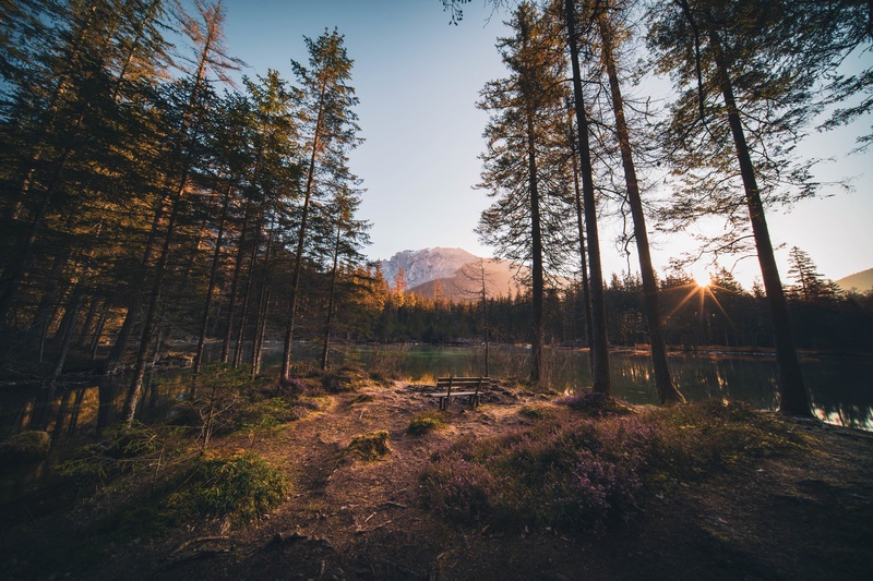 Sončna klopca by Ivan Benk