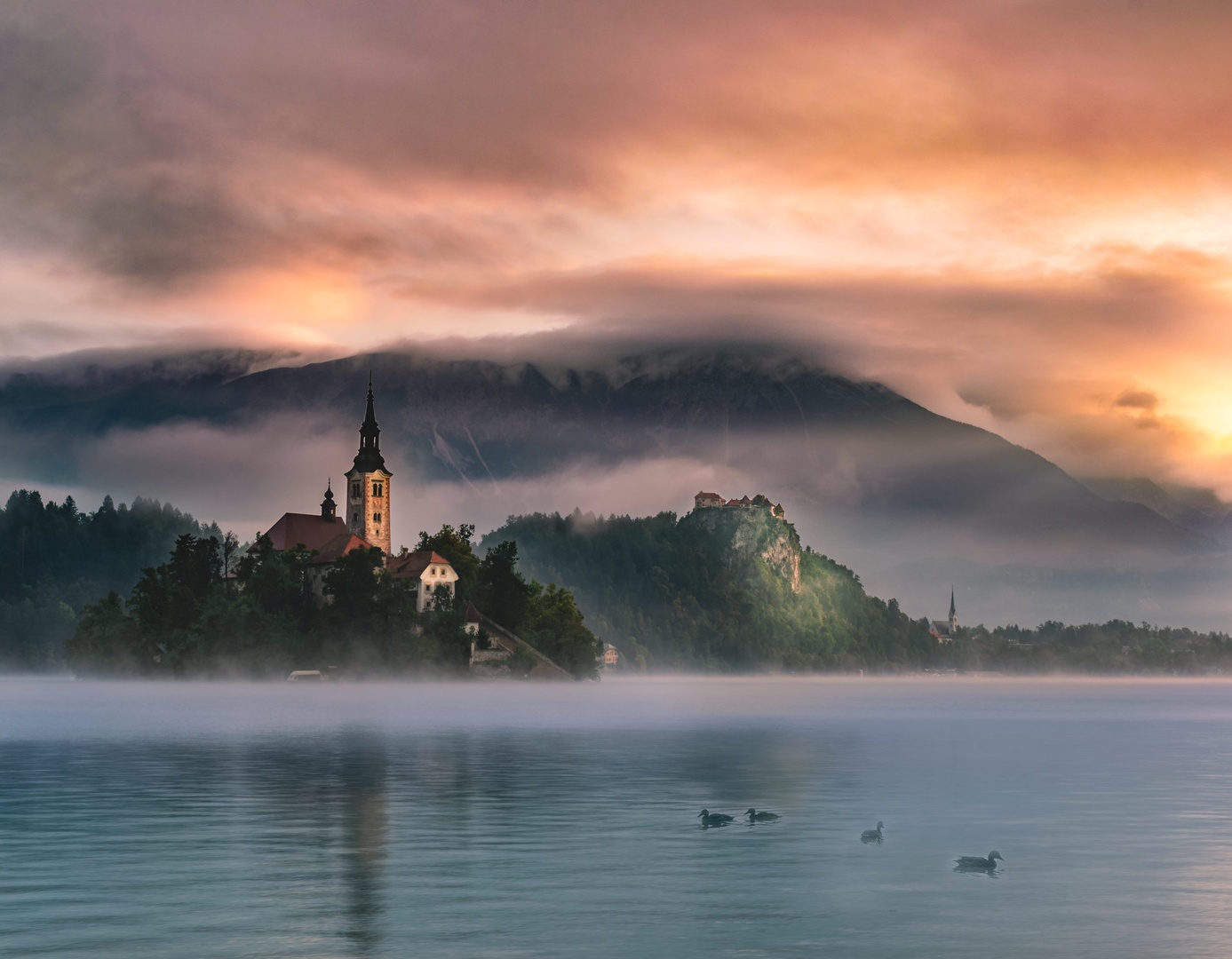Bled by Tadej Škofič