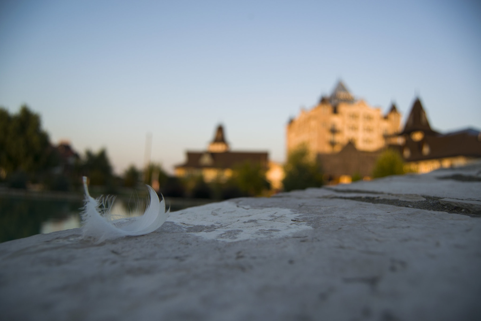 Feather in the wind by Nastja Klajnšek