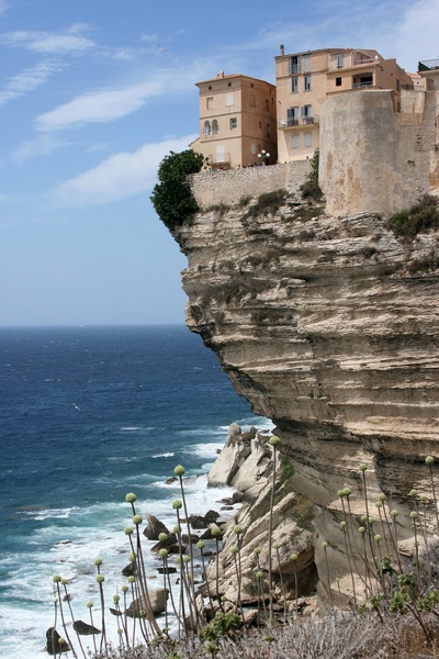Bonifacio by Ema Babič