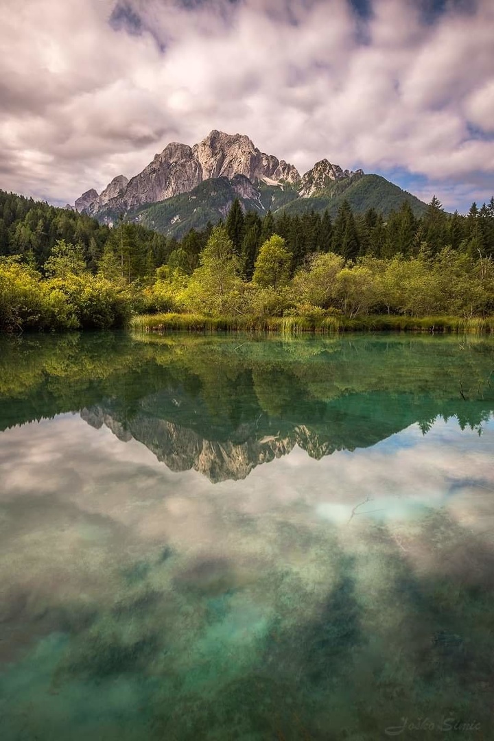 Zelenci by Joško Šimic