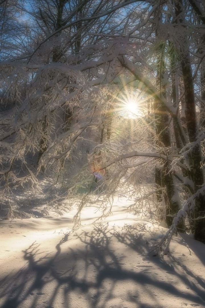 Čarobno jutro by Joško Šimic
