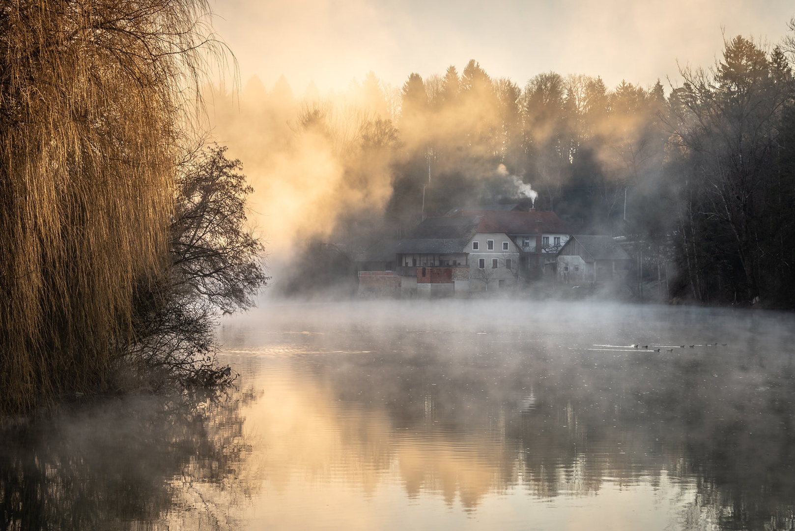 Prebujanje by Joško Šimic